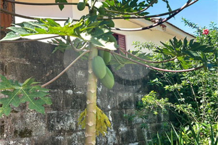 Casa para alugar com 6 quartos, sendo 3 suítes, no Centro, São Manuel, SP