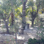 Casa à venda com 5 quartos, sendo 1 suíte, no condomínio Village da Serra, Araçoiaba da Serra - SP