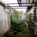 Terreno à venda com 3 quartos no condomínio Terreno com Casa, São Paulo - SP