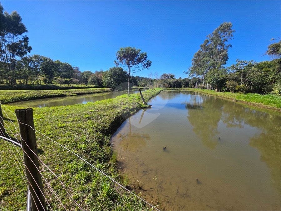 Sitio Granjeiro região de Água Vermelha 6,5 Alqueires (16,5 Hectares)