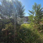 Barracão à venda ou para alugar em Vila Hungria, Itapetininga, SP