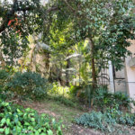 Apartamento para alugar com 2 quartos em Tucuruvi, São Paulo, SP