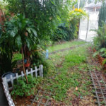 Sobrado à venda com 3 quartos, sendo 1 suíte, em Santana, São Paulo, SP