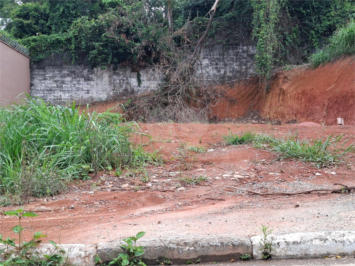 Terreno à venda em Vila Albertina, São Paulo, SP