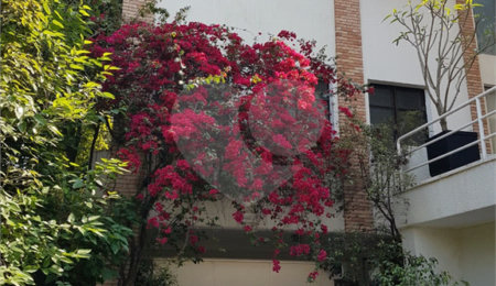 Casa à venda com 3 suítes no condomínio Palm Lane, São Paulo - SP