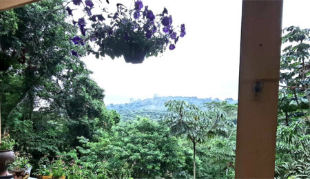 Sobrado à venda com 5 quartos, sendo 2 suítes, em Serra da Cantareira, Mairiporã, SP