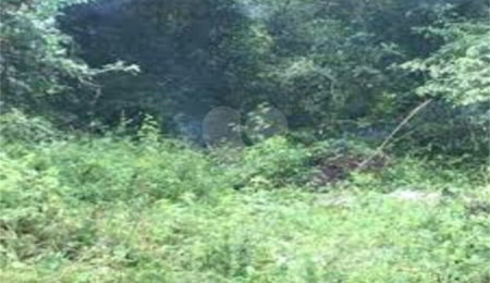 Terreno à venda em Serra da Cantareira, Mairiporã, SP