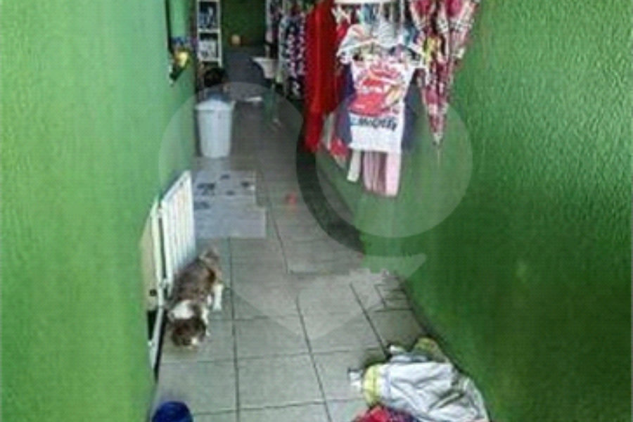 Sobrado à venda com 3 quartos, sendo 1 suíte, em Tucuruvi, São Paulo, SP