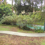 Apartamento para alugar com 2 quartos, sendo 1 suíte, em Chácara Santo Antônio, São Paulo, SP
