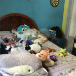 Casa Térrea à venda com 3 quartos em Vila Aurora (zona Norte), São Paulo, SP