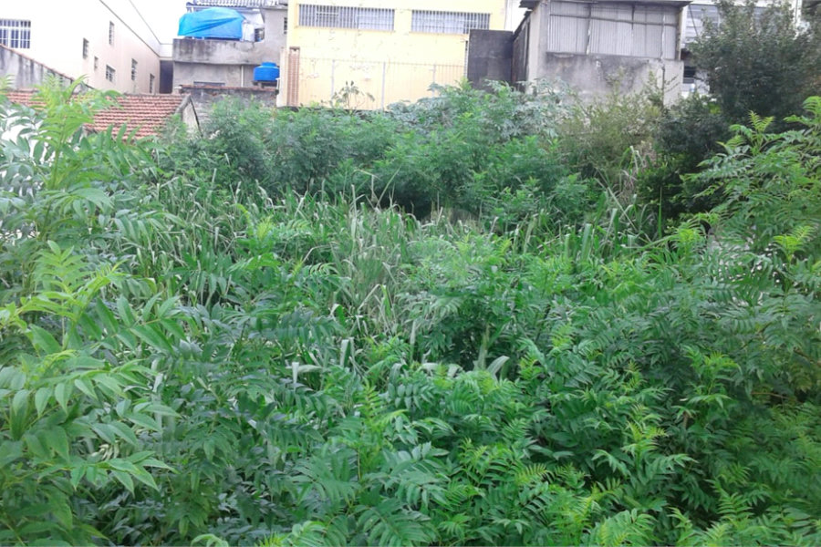 Terreno à venda em Imirim, São Paulo, SP