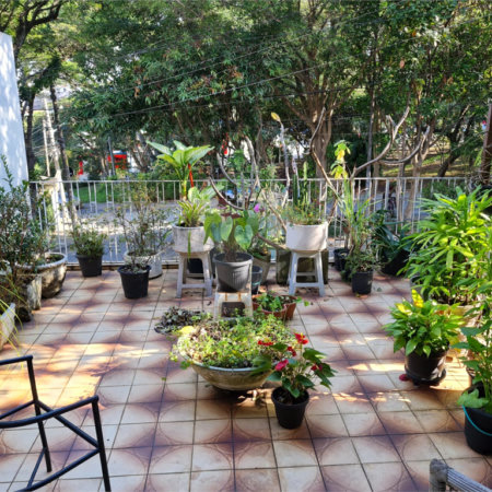 Casa à venda com 3 quartos em Jardim Bonfiglioli, São Paulo, SP