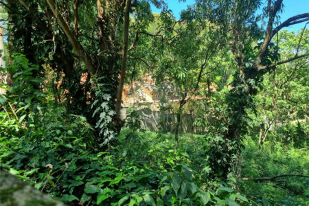 Terreno à venda no condomínio Horto do Ypê, São Paulo - SP