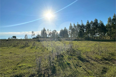 Terreno à venda em Sanga Puita, Ponta Porã, MS
