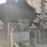Terreno à venda com 5 quartos em Vila Gustavo, São Paulo, SP