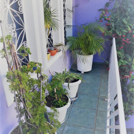 Sobrado à venda com 3 quartos, sendo 1 suíte, em Vila Mazzei, São Paulo, SP