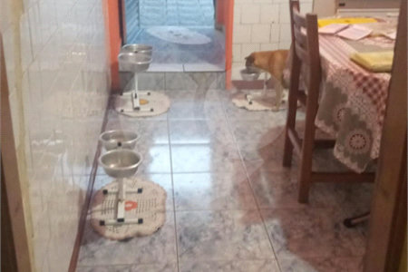 Casa à venda com 2 quartos em Vila do Encontro, São Paulo, SP
