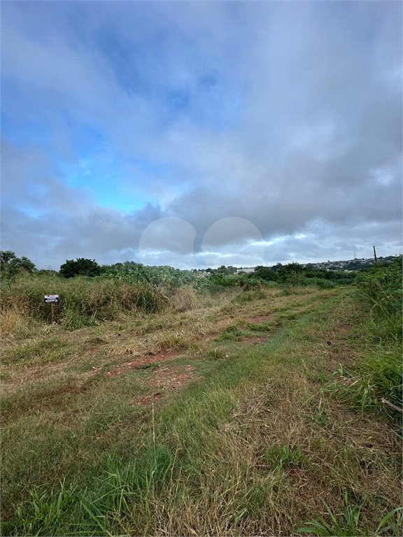 Terreno à venda em Bosque de Ponta Porã, Ponta Porã, MS