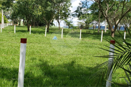 Sitio para venda.