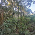 Terreno à venda no condomínio Alpes da Cantareira, Mairiporã - SP