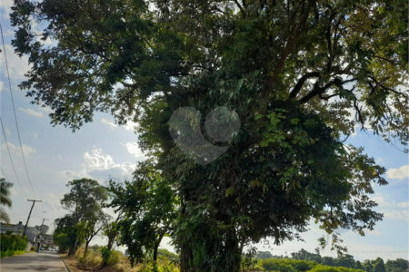 Área de Terra à venda em Nova Trieste, Jarinu, SP