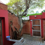 Sobrado à venda com 5 quartos, sendo 3 suítes,  em Jardim França, São Paulo, SP