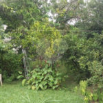 Casa à venda com 2 quartos, sendo 1 suíte, no condomínio Vinhas da Vista Alegre - Lado Sede, Vinhedo - SP