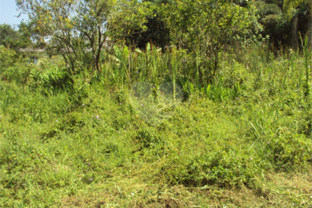 Chácara à venda com 1 quarto em Cruz das Almas, Biritiba-mirim, SP