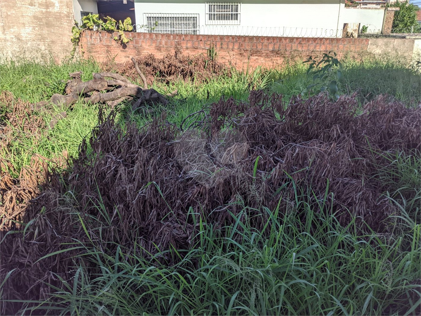 Terreno com 410,00 m² no bairro Vila Costa do Sol.