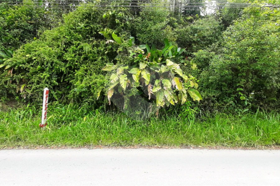 Chácara à venda em Serra da Cantareira, Mairiporã, SP