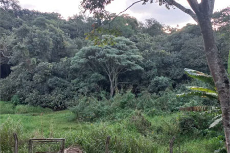 Apartamento para alugar com 2 quartos em Jardim da Glória, Cotia, SP