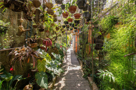 Casa à venda ou para alugar com 4 quartos em Jardim Marajoara, São Paulo, SP