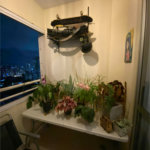 Apartamento à venda com 3 quartos, sendo 1 suíte, em Barra Funda, São Paulo, SP