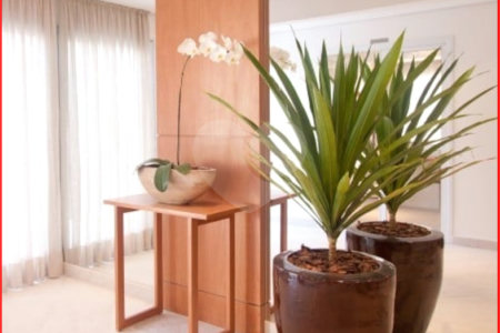 Apartamento à venda com 2 suítes em Jardim Monte Kemel, São Paulo, SP