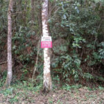 Terreno à venda em Serra da Cantareira, Mairiporã, SP