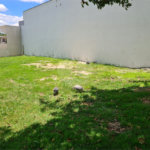 Terreno à venda no condomínio Renaissance, Sorocaba - SP