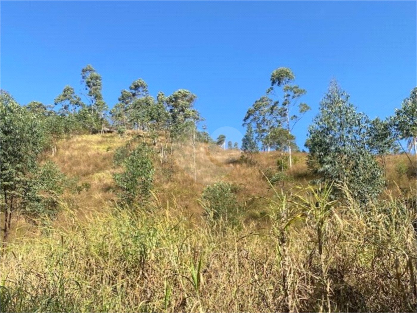 Terreno à venda em Caete (mailasqui), São Roque, SP