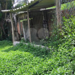 Chácara à venda com 2 quartos em Vila Caputera, Mogi das Cruzes, SP