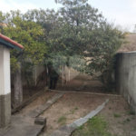 Casa Térrea à venda com 2 quartos em Vila Gustavo, São Paulo, SP