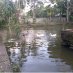 Sítio à venda com 5 quartos, sendo 2 suítes,  em Parque Recreio Dom Pedro Ii (guia de Pacobaíba), Magé, RJ