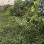 Terreno à venda em Vila Nova Cachoeirinha, São Paulo, SP
