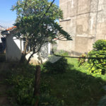 Sobrado à venda com 3 quartos em Vila Maria, São Paulo, SP