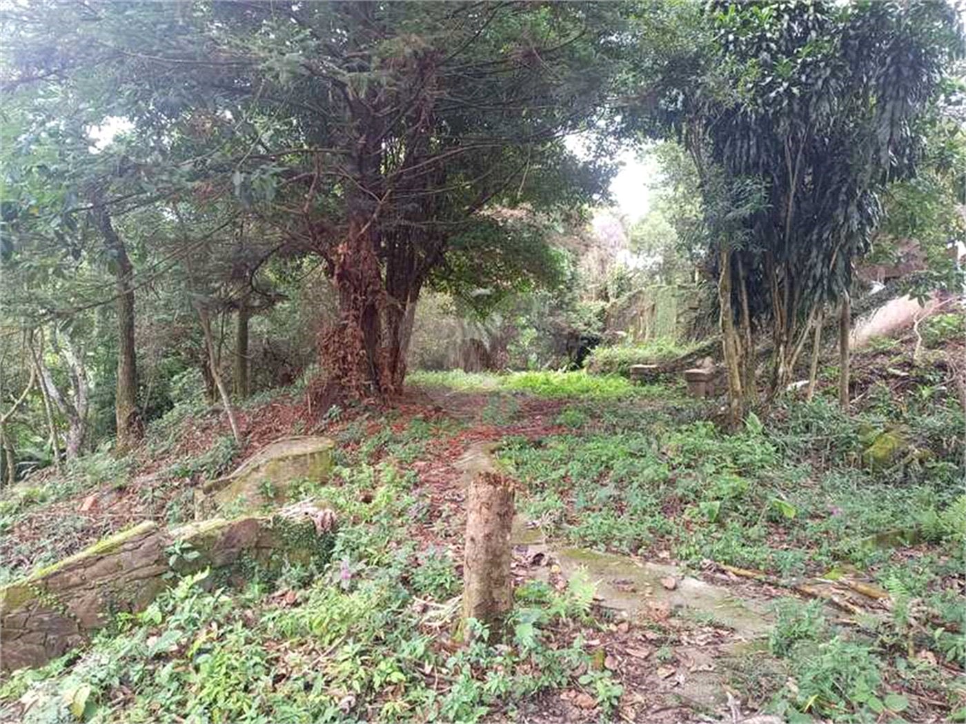 Terreno à venda no condomínio Associação Reserva das Hortênsias, Mairiporã - SP