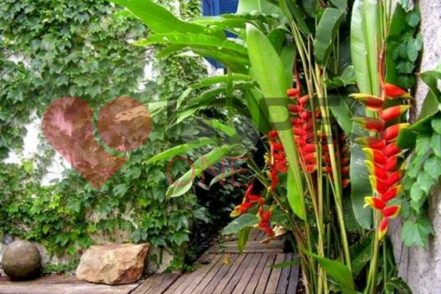 Casa à venda com 3 quartos em Casa Verde, São Paulo, SP