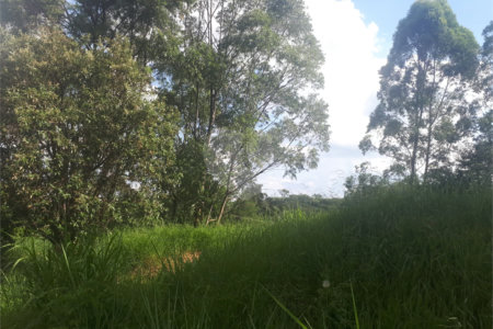 Terreno à venda em Vale Verde, Valinhos, SP