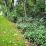 Terreno à venda no condomínio Cantareira, Mairiporã - SP