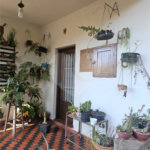 Casa à venda com 5 quartos em Mandaqui, São Paulo, SP