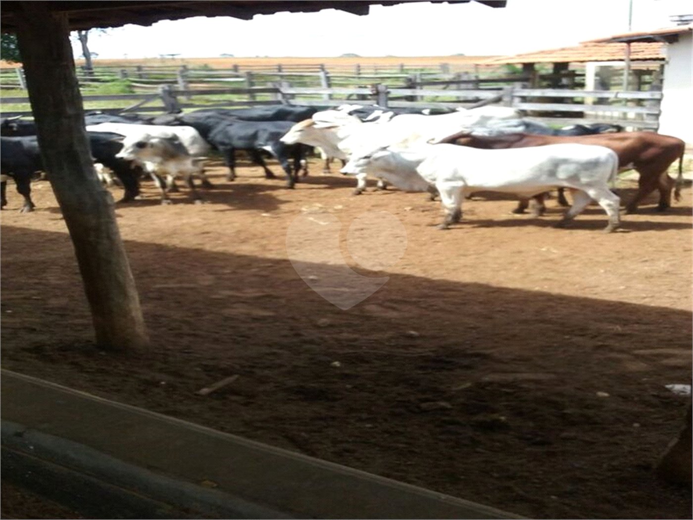Fazenda à venda com 2 quartos em Canabrava, João Pinheiro, MG