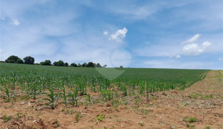 Área de Terra à venda em Paraíso das Aves, Itatiba, SP