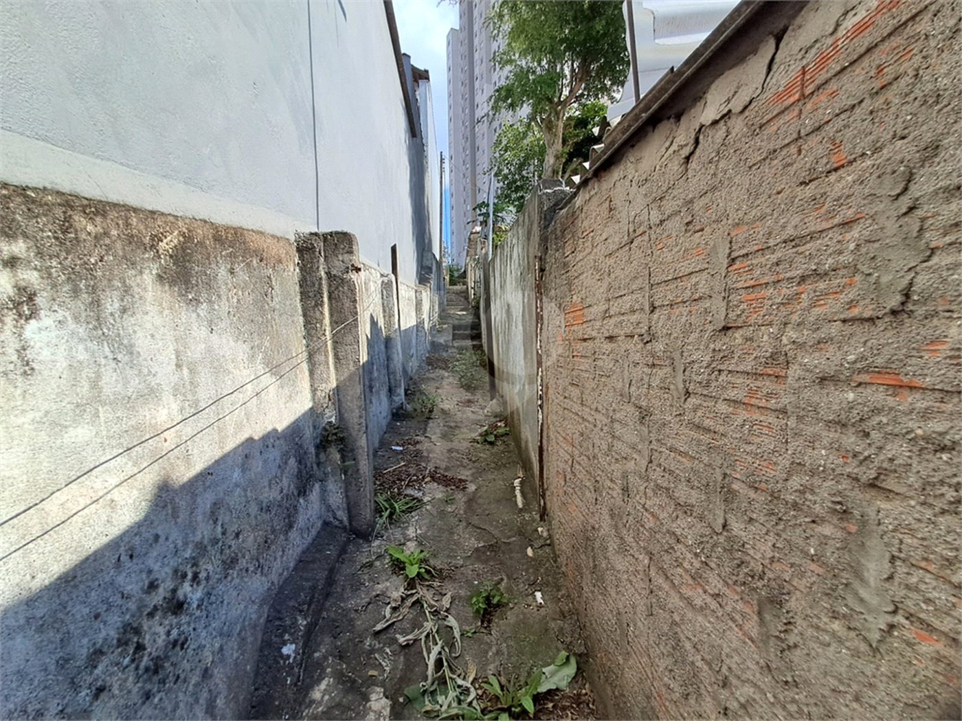 Casa à venda com 3 quartos em Vila Gustavo, São Paulo, SP